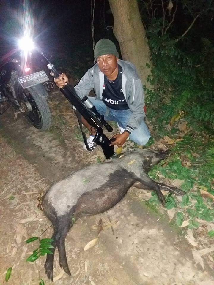 Jual Senapan Angin Model Terbaru dengan Desain Modern Goppul Night Furry Andalan Terbaik Petembak